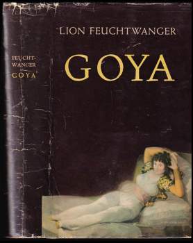 Goya, čiže, Krutá cesta poznania