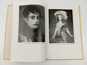 Francisco de Goya: Goya