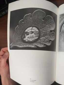 M. C Escher: M.C. Escher
