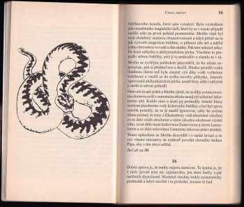 J. H Brennan: Cesta hrůzy