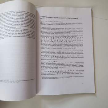 Tamara Nikiforovna Nikitina: Gramatika staročínských textů