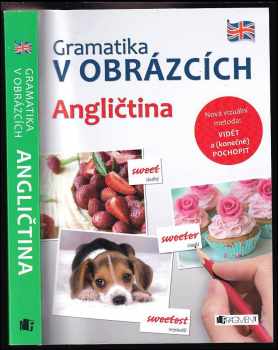 Gramatika v obrázcích