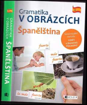 Gramatika v obrázcích