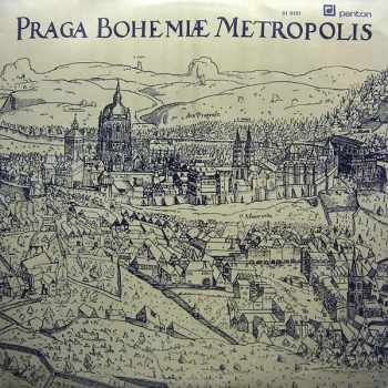 Kamil Bednář: Praga Bohemiæ Metropolis