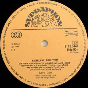 Karel Gott: Koncert Pro Tebe - Just For You