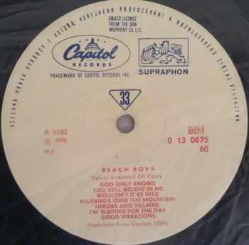 The Beach Boys: The Beach Boys