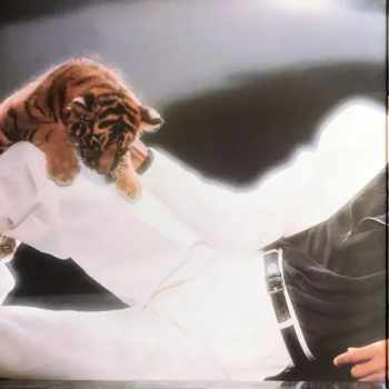 Michael Jackson: Thriller LTD