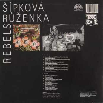 Rebels: Šípková Růženka