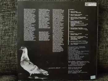 Michal Prokop: Holubí Dante / Pigeon's Dante