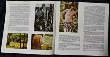 Various: Woodstock