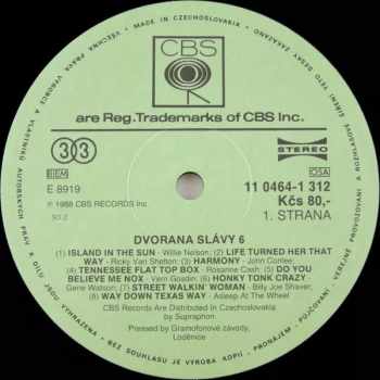 Various: Dvorana Slávy 6 (2xLP)