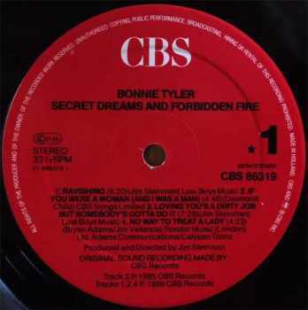Bonnie Tyler: Secret Dreams And Forbidden Fire