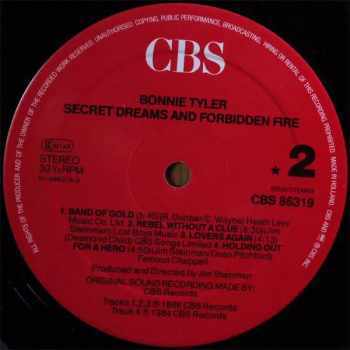 Bonnie Tyler: Secret Dreams And Forbidden Fire