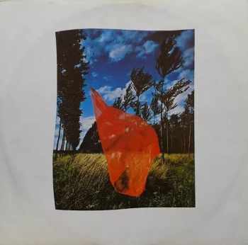Pink Floyd: Wish You Were Here