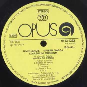 Collegium Musicum: Divergencie