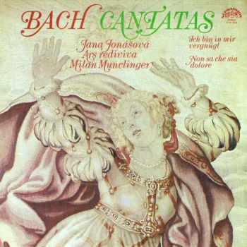 Johann Sebastian Bach: Cantatas (Ich Bin In Mir Vergnügt / Non Sa Che Sia Dolore)