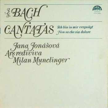 Johann Sebastian Bach: Cantatas (Ich Bin In Mir Vergnügt / Non Sa Che Sia Dolore)
