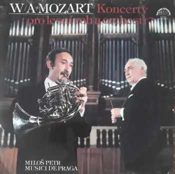 Koncerty Pro Lesní Roh A Orchestr