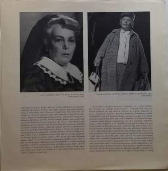 Jiřina Šejbalová: Herecký Portrét Jiřiny Šejbalové