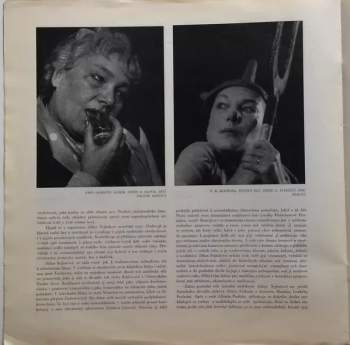 Jiřina Šejbalová: Herecký Portrét Jiřiny Šejbalové