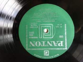 Jitka Nováková: Debut