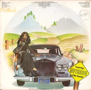 Ike & Tina Turner: Nutbush City Limits