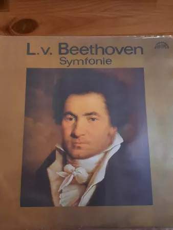 The Czech Philharmonic Orchestra: Symfonie Č. 2 D Dur, Op 36