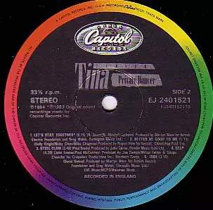 Tina Turner: Private Dancer