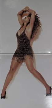 Tina Turner: Foreign Affair