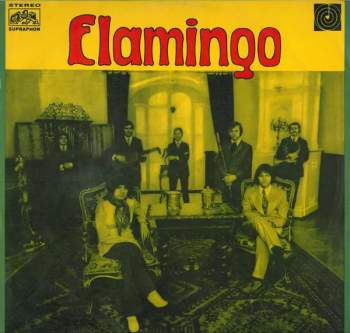 Flamingo