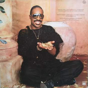 Stevie Wonder: In Square Circle