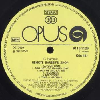 Pavol Hammel: Remote Barber's Shop