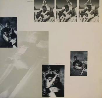 Sting: The Dream Of The Blue Turtles