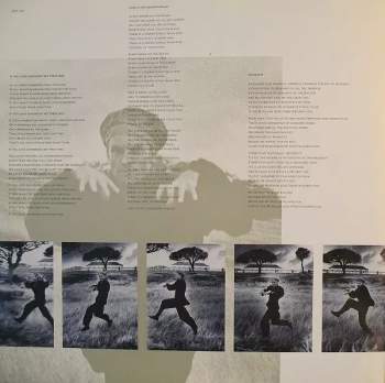 Sting: The Dream Of The Blue Turtles