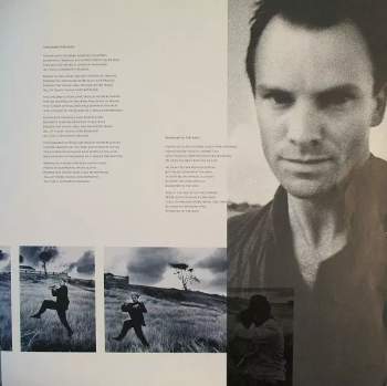 Sting: The Dream Of The Blue Turtles