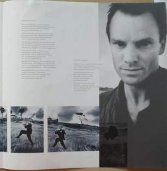 Sting: The Dream Of The Blue Turtles