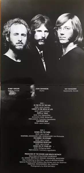 The Doors: Other Voices