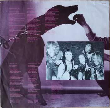 Scorpions: Animal Magnetism