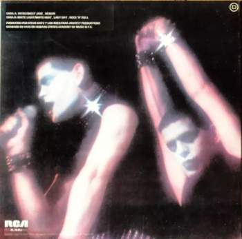 Lou Reed: Rock N Roll Animal