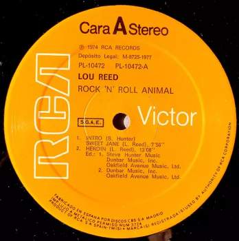 Lou Reed: Rock N Roll Animal