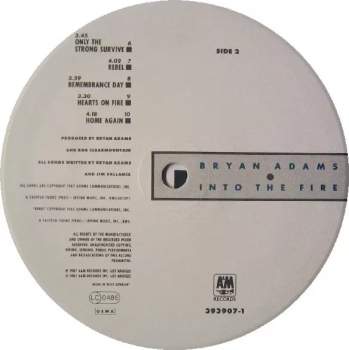 Bryan Adams: Into The Fire