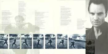 Sting: The Dream Of The Blue Turtles