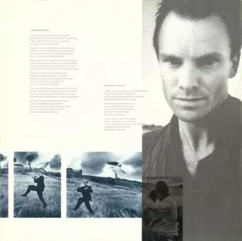 Sting: The Dream Of The Blue Turtles