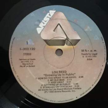 Lou Reed: Growing Up In Public