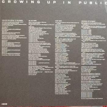 Lou Reed: Growing Up In Public