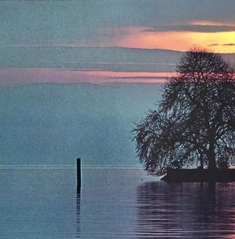 Yes: Going For The One