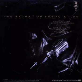 Paul Young: The Secret Of Association