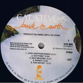 Cat Stevens: Back To Earth