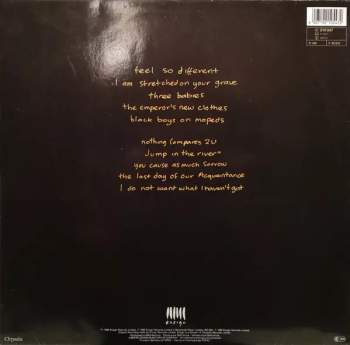 Sinéad O'Connor: I Do Not Want What I Haven't Got