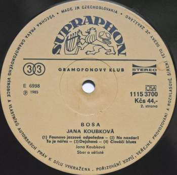 Jana Koubková: Bosa